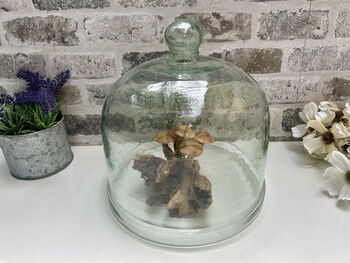 Large 24cm Recycled Glass Cloche Dome Bell Jar, 6 of 7