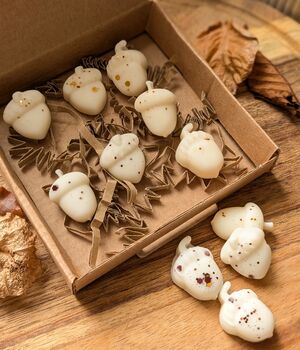 Roasted Chestnut Autumnal Wax Melt Box For Autumn Decor, 5 of 7