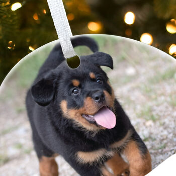 Pet Photo Ceramic Disc Hanging Decoration Bauble + Gift Box, 4 of 6