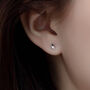 Sterling Silver Seashell Stud Earrings, thumbnail 3 of 4