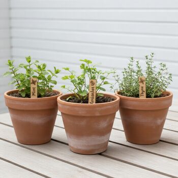 Wooden Herb Markers, 5 of 5