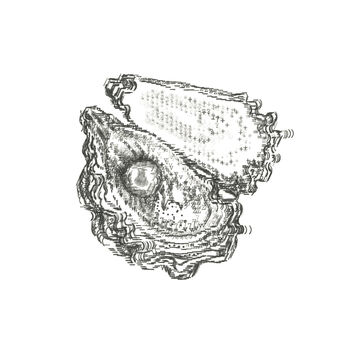 Personalised Open Oyster Pearl Typewriter Art Print, 3 of 6