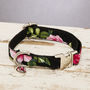 The Chelsea Pink And Black Floral Dog Collar, thumbnail 1 of 4