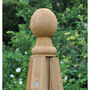 Large Wooden Garden Obelisk, thumbnail 2 of 3