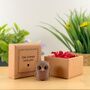 Owl Always Love You Tiny Little Gifts, thumbnail 2 of 2