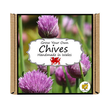 Gardening Gift. Chives Herbs Growing Kit, 4 of 4