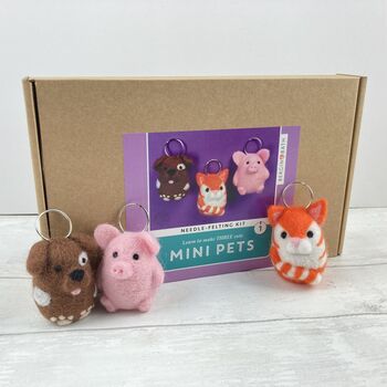 Needle Felting Kit, Mini Pets. Cat, Pig And Dog, 6 of 12