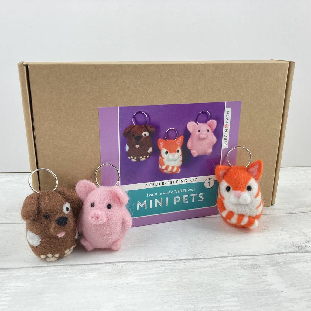 Needle Felting Kit - Mini Pets 2 - Make THREE felt animals with