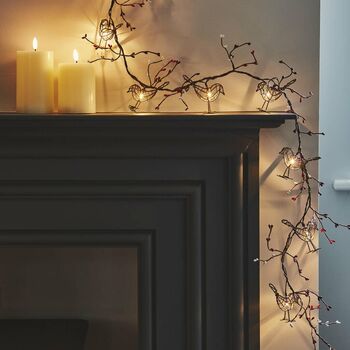 Garland Of LED Battery Operated Robin Lights, 2 of 2