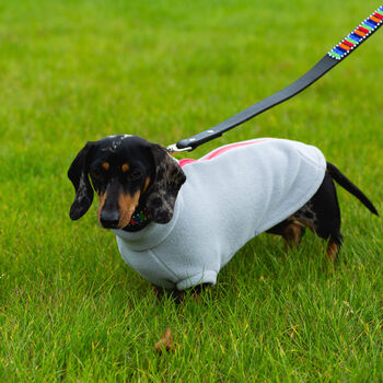 Dachshund Polartec Water Resistant Dog Coat, 4 of 10