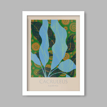 Cacruleus Botanical Print, 2 of 3