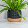Carbon Hexa Planter, thumbnail 3 of 4