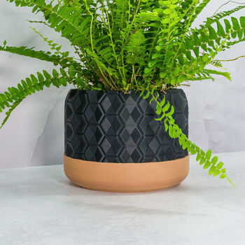 Carbon Hexa Planter, 3 of 4