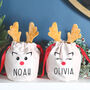 Personalised Christmas Reindeer Pouch, thumbnail 1 of 4