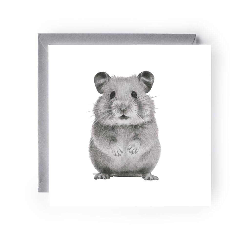 Adorable Hand Drawn Hamster Greeting Card, 1 of 4