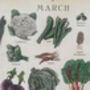 2026 Calendar UK Seasonal Fruit And Vegetable Calendar, thumbnail 9 of 12