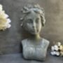 38cm Grey Female Bust Statue Elegant Lady Head Decor, thumbnail 7 of 12
