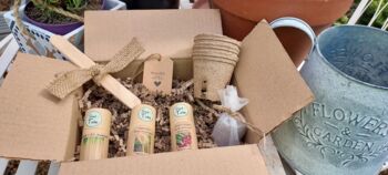 Vegetable Seed Gift Set Onions, Asparagus And Leeks, 2 of 5