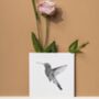 Adhara The Hummingbird Luxury Blank Greeting Card, thumbnail 4 of 4