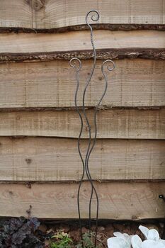 Three Hour Garden Making Experience, 2 of 6