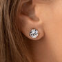 Round Swarovski Crystal Stone Stud Earrings, thumbnail 1 of 7