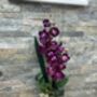 Purple Artificial Silk Orfid Flower Arrangement Mothers Day Gift, thumbnail 6 of 6
