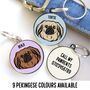 Pekingese ID Tag Personalised, thumbnail 1 of 5