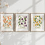 Marché Aux Fruits Abstract Art Print, thumbnail 1 of 7