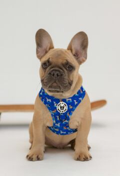 Skateboarding Dogs Adjustable Padded Dog Harness, 2 of 6