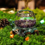 Molten Glass Decorative Bowl, Fruit Bowl And Terrarium, thumbnail 9 of 9