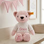Personalised My First Steiff Teddy Bear, thumbnail 5 of 7