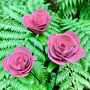 Three Pink Roses Garden Decoration Art096 P, thumbnail 5 of 7