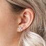Starfish Stud Earrings, thumbnail 1 of 5