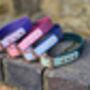 Waterproof Biothane® Two Coloured Dog Collar, thumbnail 4 of 10