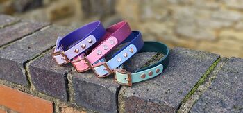 Waterproof Biothane® Two Coloured Dog Collar, 4 of 10