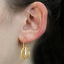 Double Loop Curl Gold Plated Silver Earrings, thumbnail 3 of 4