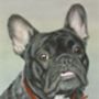 Hand Painted Personalised Pet Portrait, thumbnail 10 of 12