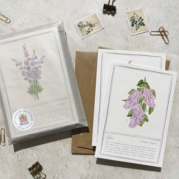 Set Of Six Different Purple And Blue Floral Notecards, 9 of 11