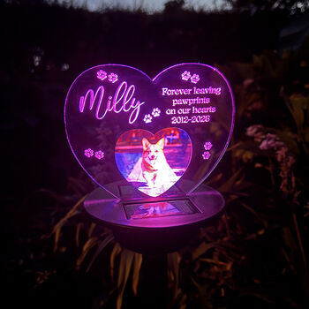 Pet Photo Memorial Colour Changing Solar Garden Light, 6 of 7