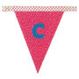 Mis Matched Letter Bunting, thumbnail 8 of 10