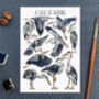 Herons Watercolour Illustrated Postcard, thumbnail 7 of 8