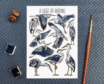 Herons Watercolour Illustrated Postcard, 7 of 8