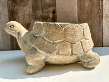 22cm Turtle Plant Pot Distressed Beige Stone Flower Holder Planter, 4 of 7