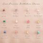 Add Your Own Semi Precious Faceted Birthstone Charm, thumbnail 1 of 1