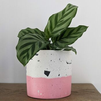 Handmade Bright Pink And Cream Terrazzo Plant Pot, 2 of 3
