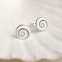 Sterling Silver Shiva Shell Stud Earrings, thumbnail 4 of 6