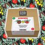 Tomato Variety Grow Your Own Kit Volume One, thumbnail 1 of 6
