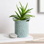 Cotton Plant Pot Holder Crochet Kit, thumbnail 1 of 9