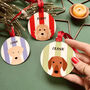 Candy Cane Christmas Dog Bauble, thumbnail 1 of 12