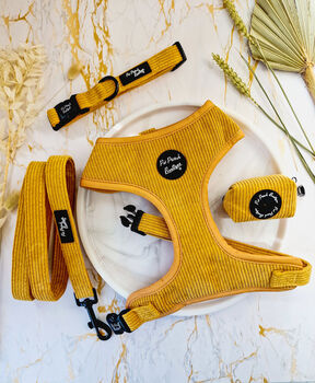 Mustard Yellow Cord Dog Harness, 5 of 5